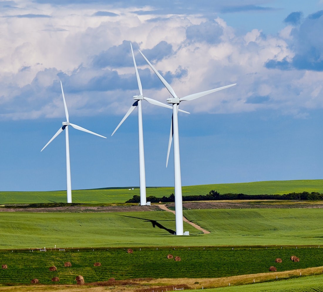 wind turbines in a field