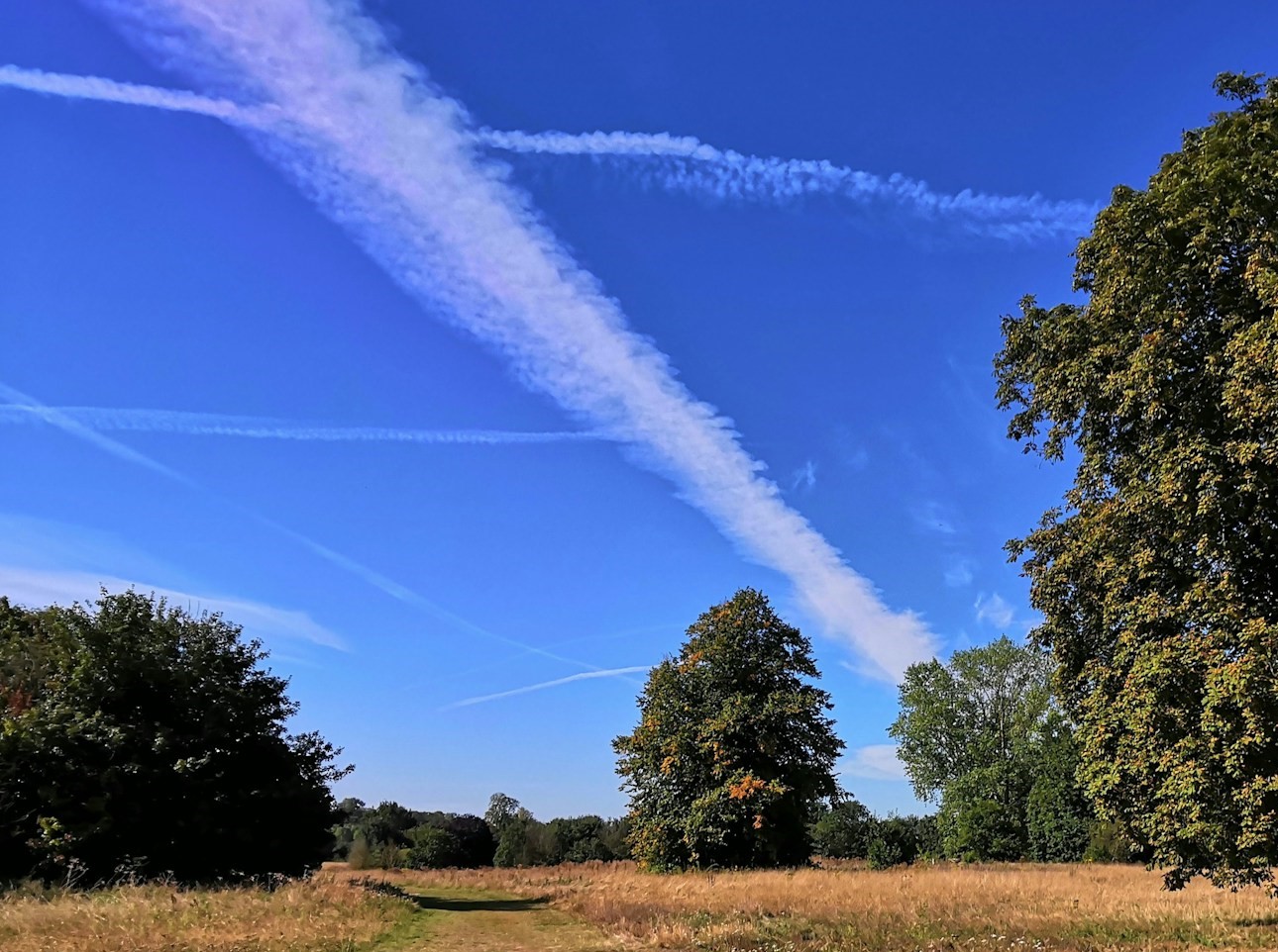 Aircraft contrails in a blue sky
