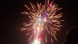 Firework burst