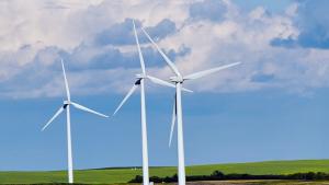 wind turbines in a field