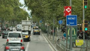 traffic in a tree lined city street