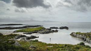 view of coast Ring of Kerry