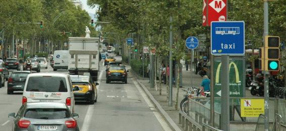 traffic in a tree lined city street