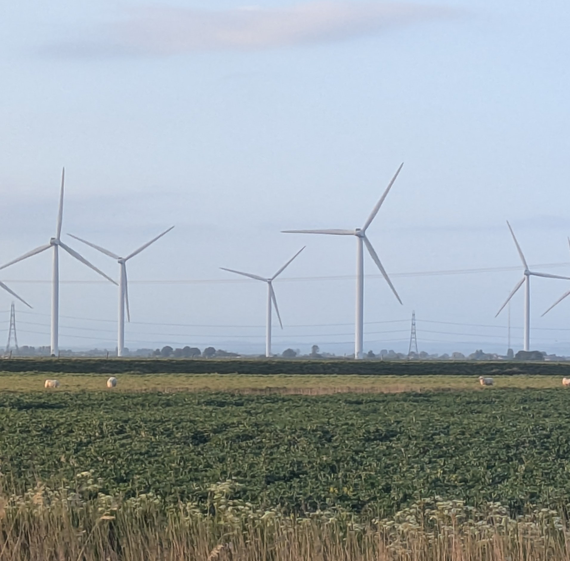 walland marsh wind turbines
